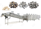 Écrous automatiques rôtissant la machine pour les graines de potiron et de pastèque de tournesol, 300-1000 kg/h heures fournisseur
